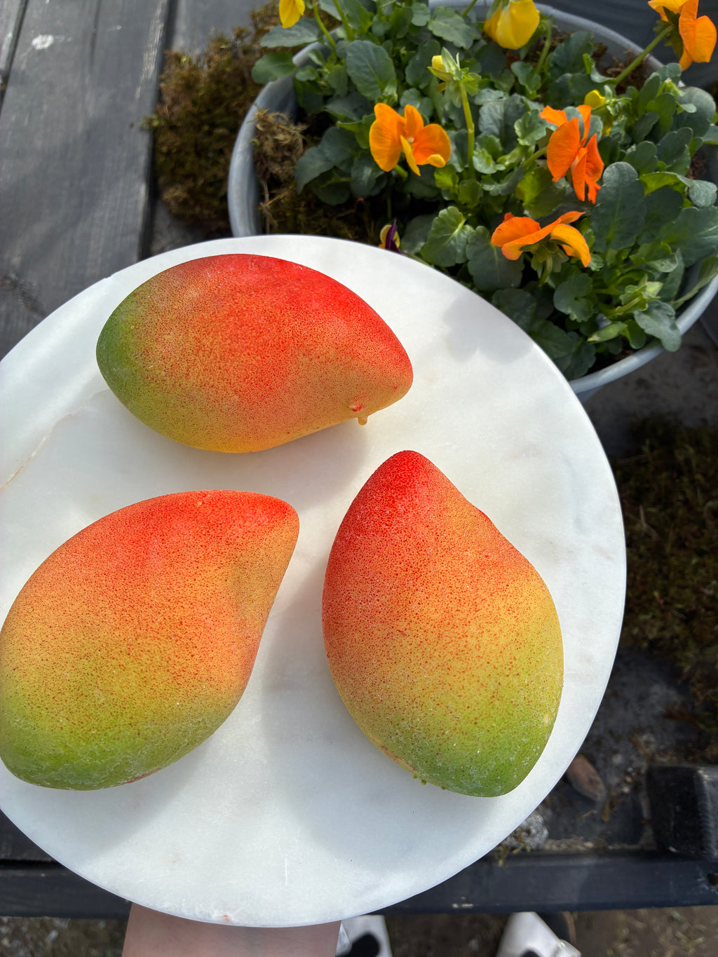 Viral fruktkake - Mango